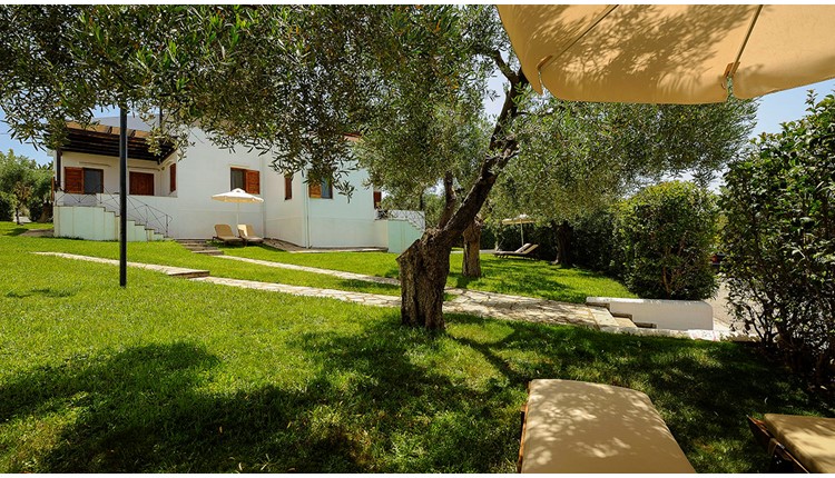 Trikorfo Beach Hotel - NR, Халкидики